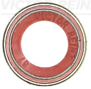 Seal Ring, valve stem